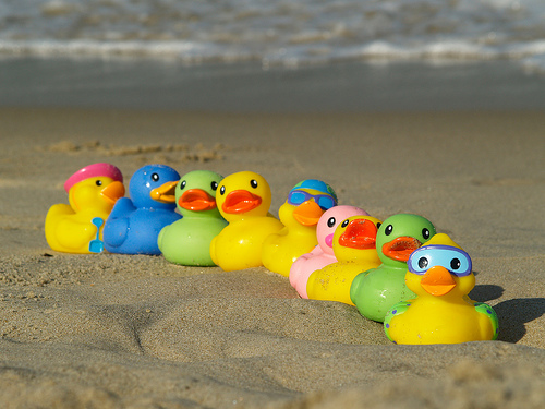 Do You Have Your Ducks In A Row?